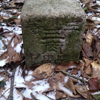 鷹の巣山 三等三角点654.5m