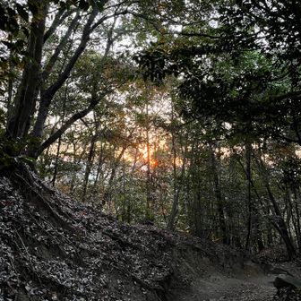 大岩展望台間に合わず、ここから日の出