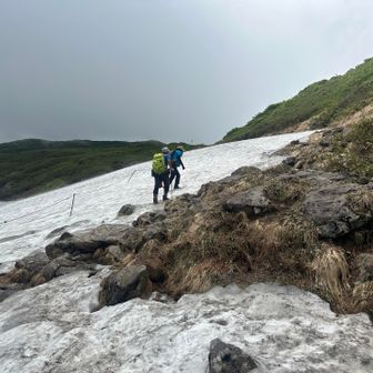 雪渓。ツボ足で大丈夫でした。