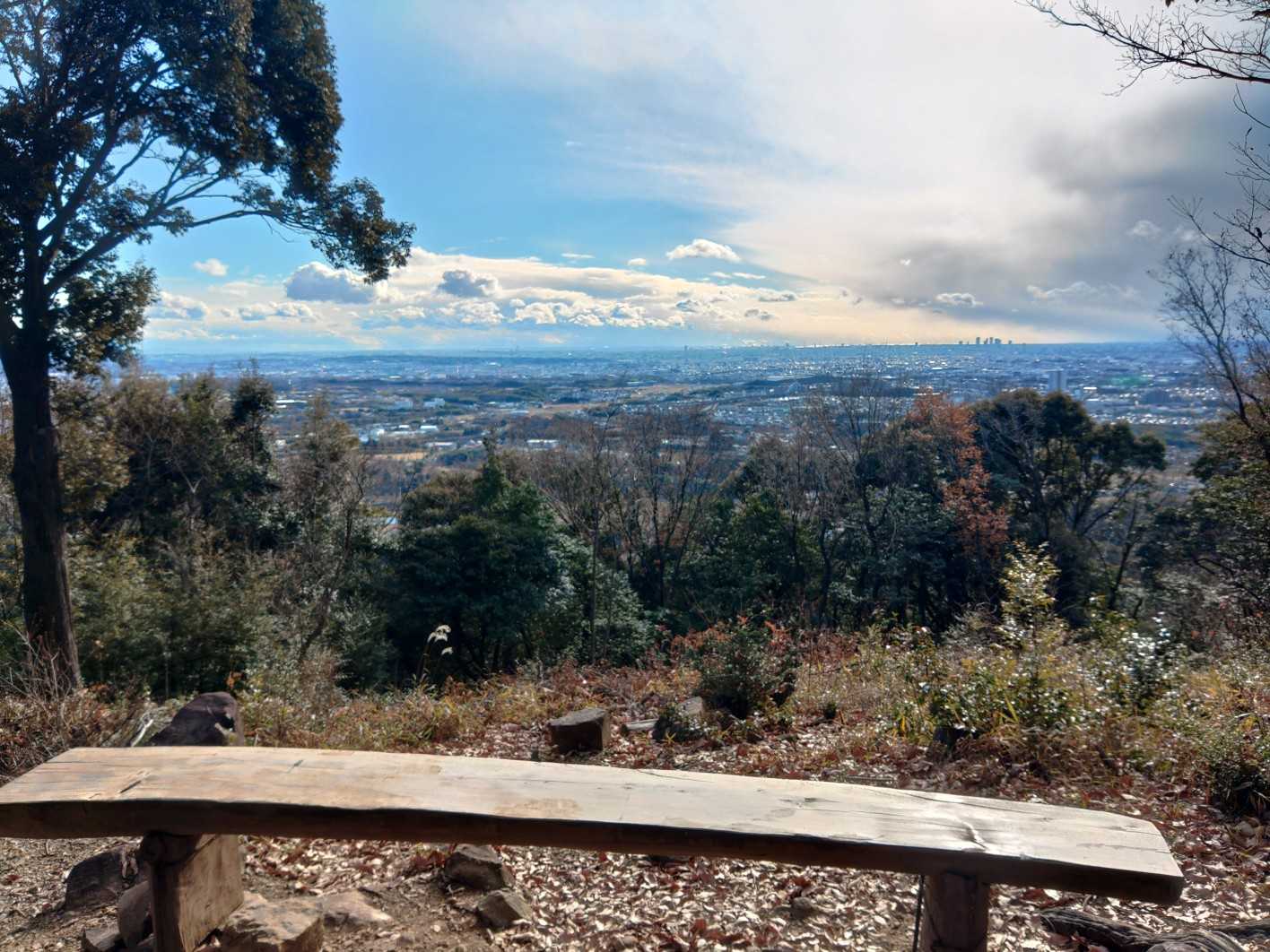 ふれあいの森入口-尾張白山-西山 往復コースの写真