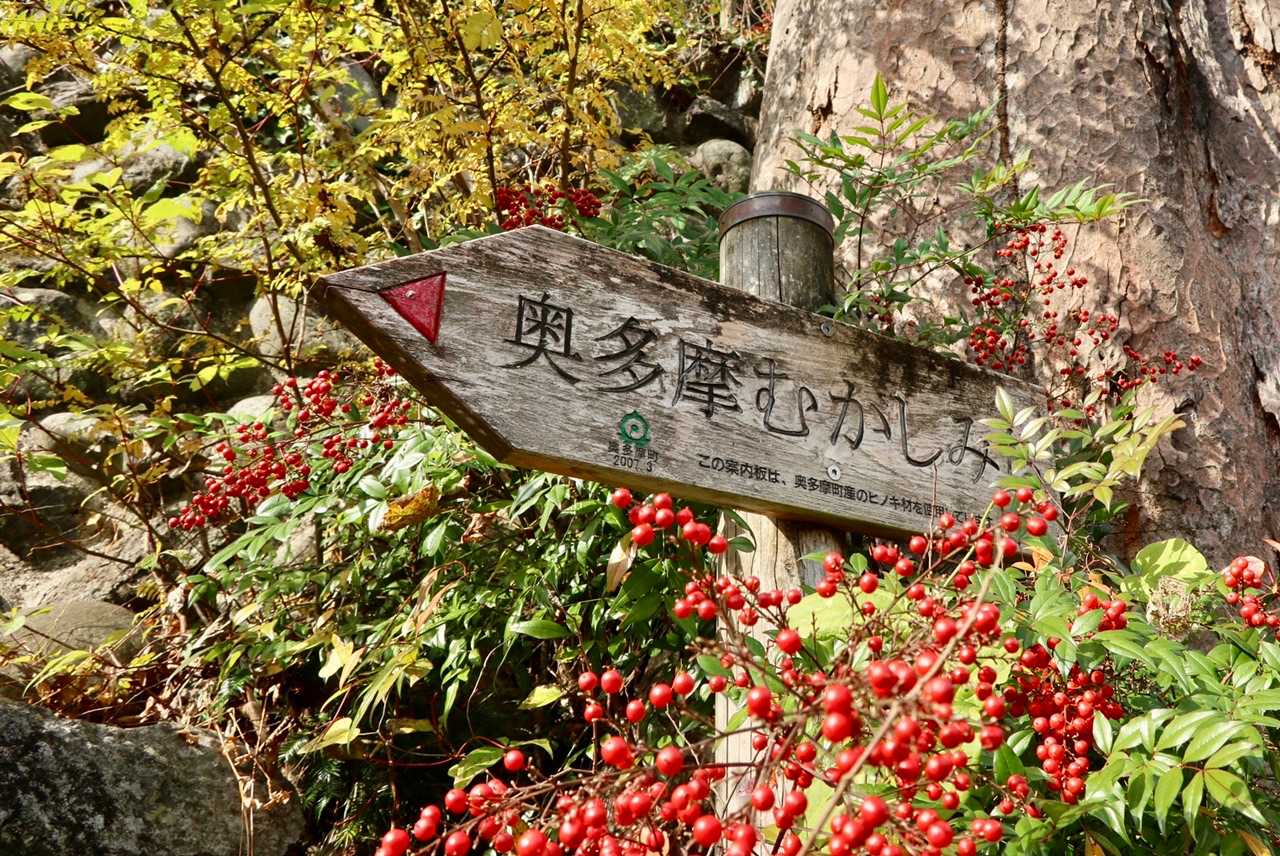 ゆるりと良いコース🍁