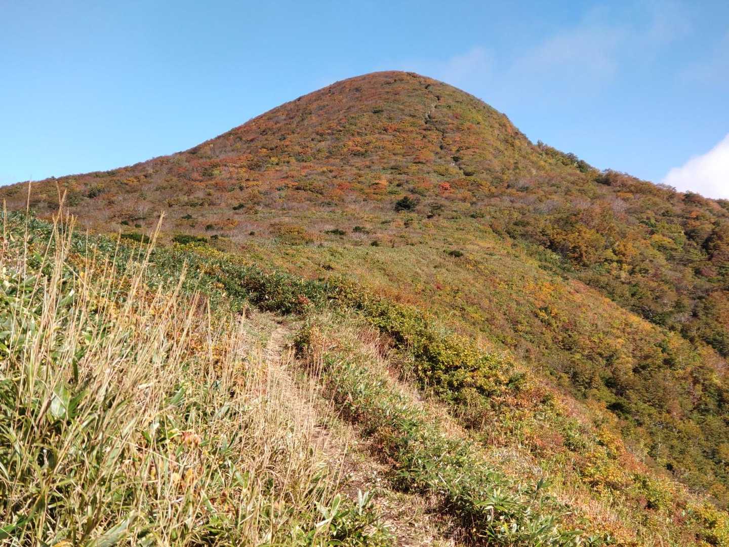 いい紅葉🍁です。