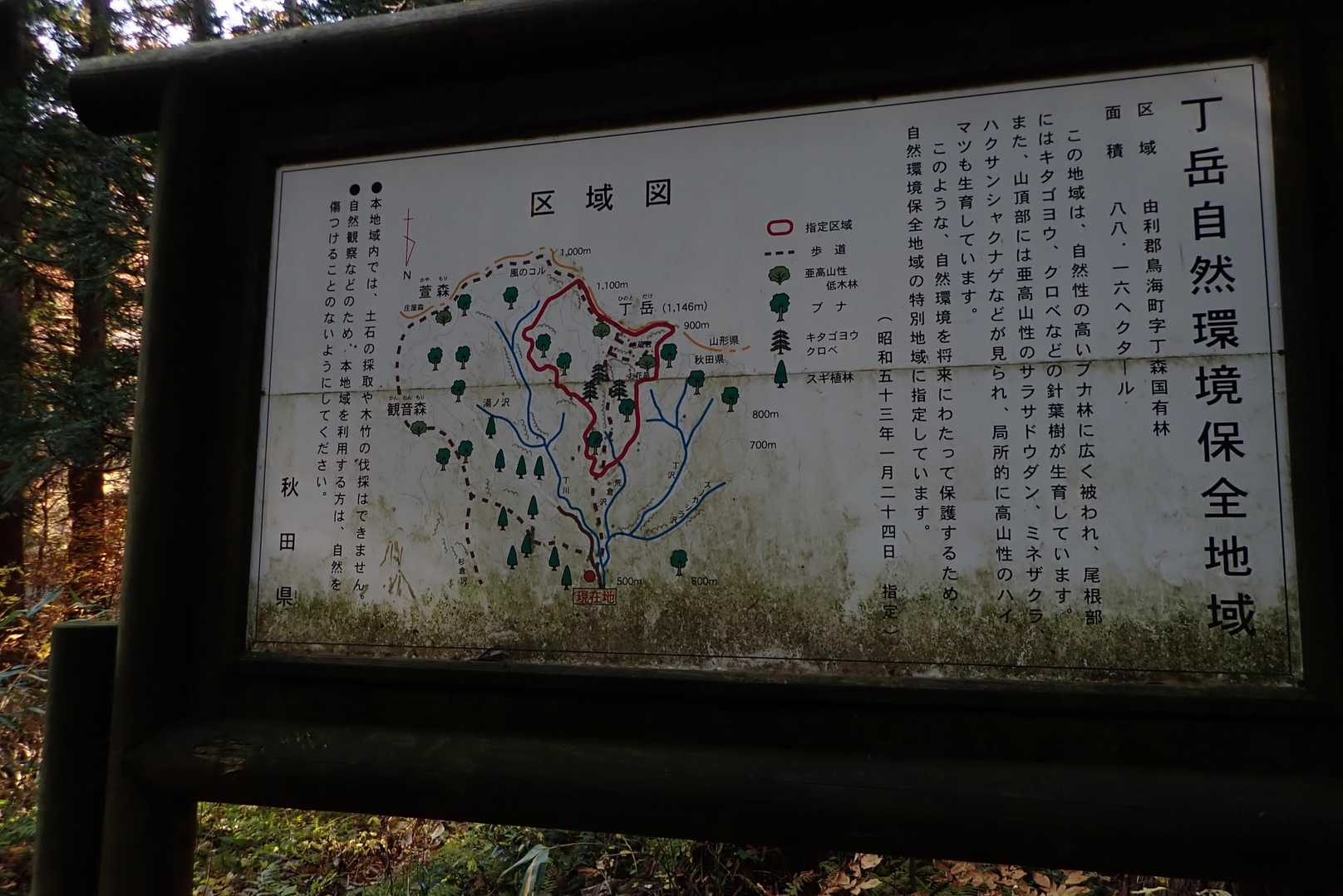 しばらく眺めて、赤の線が登山道では無いと気がつく。ここから川へ降りてしまった。
