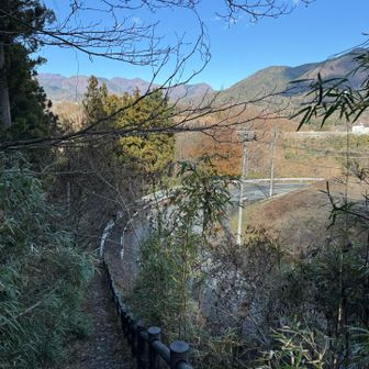 登山道はここまで。