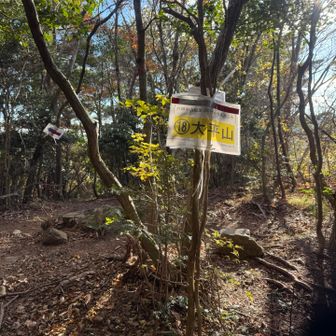 パウチされたペラペラのプレートの山が続きます
