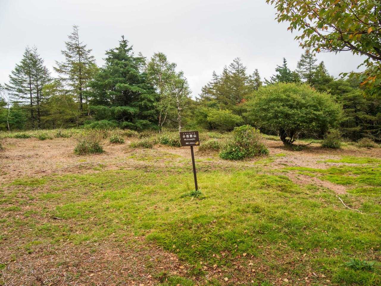 小桟敷山山頂。広い。展望はなし。
