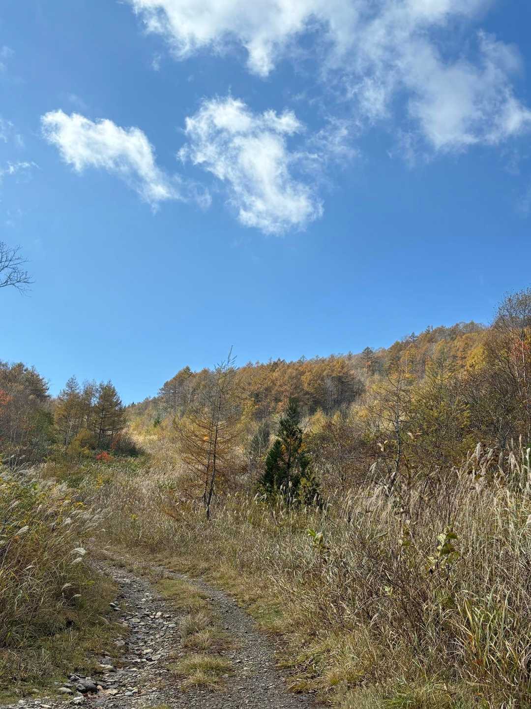 そして、振り返って青空🟦
下山時に青空、いつものパターンですね。スタートを遅くすれば山頂でパノラマビューだったのでしょうね。😌でも、明日の山行に備えて早く下山。きっと明日は朝から晴れ☀️。期待したいところです。お疲れ山でした。☺️