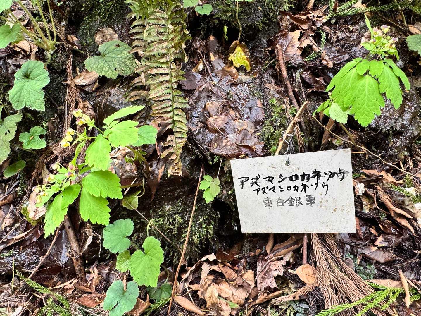 🪧看板親切ですね🙏