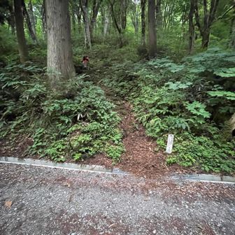 こんなコースは誰もいないと思いきや
トレランの方に🏃‍♂️‍➡️追い抜かれる