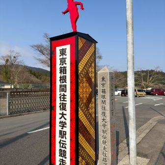 毎年みてるし、にわかファンです🏃