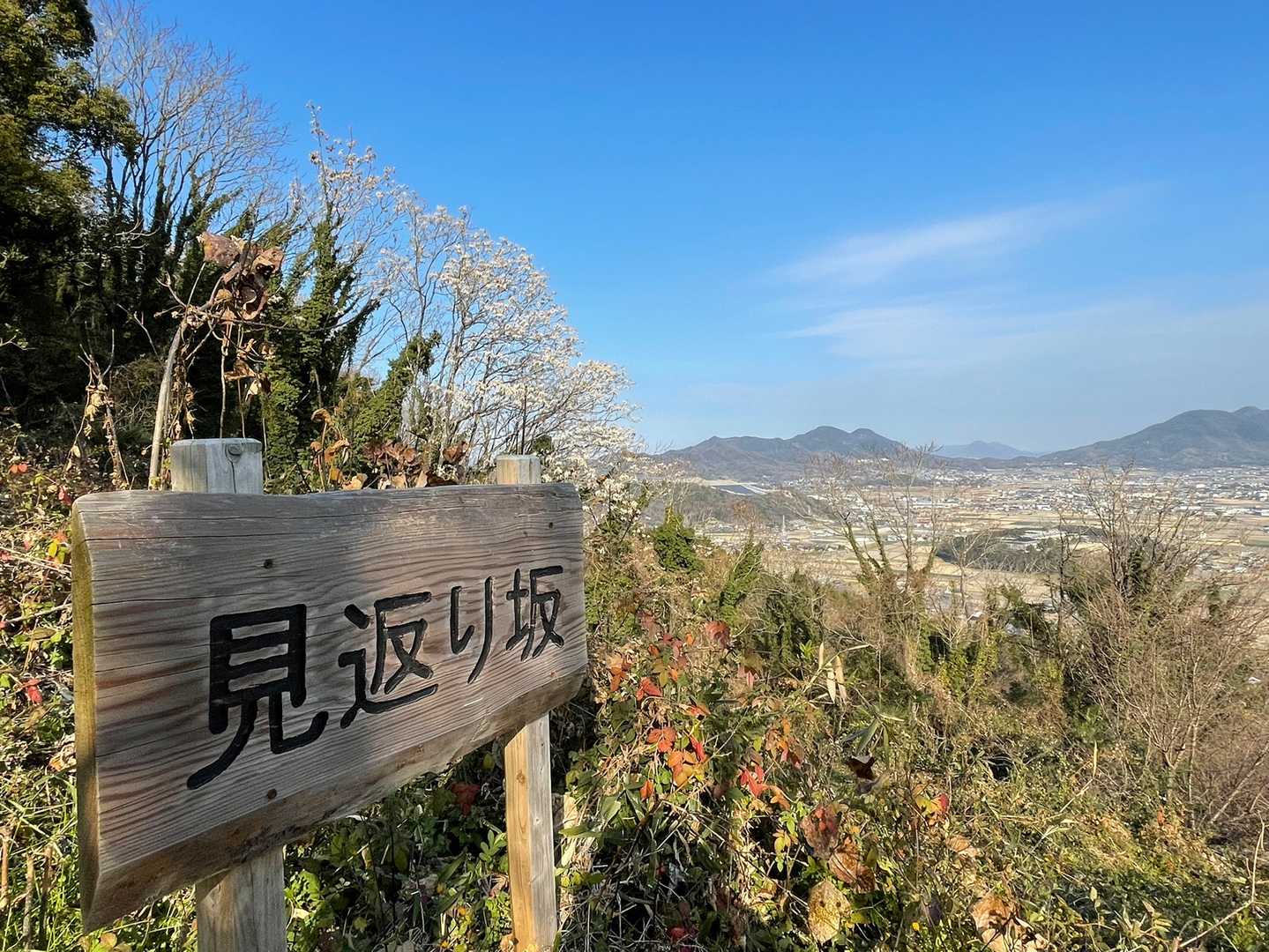 見返り坂からののどかな景色に癒される☺️