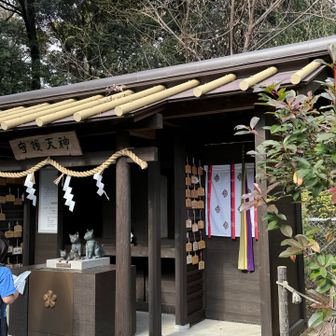 守護天神
猫をはじめ小動物の神様
（本殿の後にいらっしゃいます）

獣医さんや動物に関わる職業を目指す学生さんにもお利益あるとかないとか…🤭知らんけど🤭