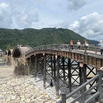 下山して錦帯橋から
橋から見えるように再建時は天守の場所を変えたようです🥲