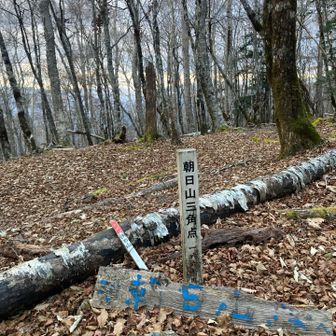 広くてのんびりしたくなる朝日山😊
