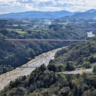 手前から城山大橋、美恵橋
