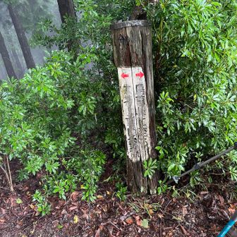 大持山の肩　ウノタワ、鳥首峠との分岐