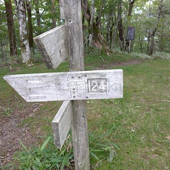 三嶺まで遠い！