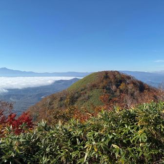 南峰には時間管理上行きませんでした。