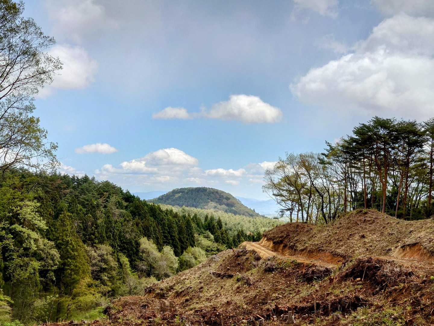 高土山登山道入口-高土山 周回コースの写真