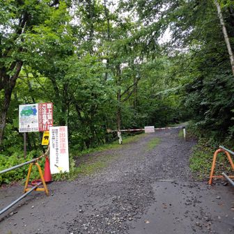 車止めの先から登山口に向けて歩き始めます