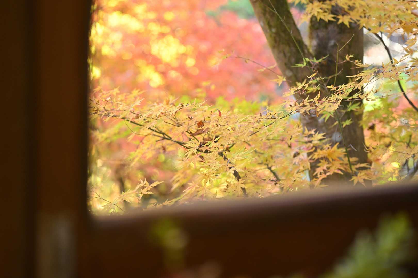 山行の締めとして、おしるこを注文して終了です😌見ていただきありがとうございました