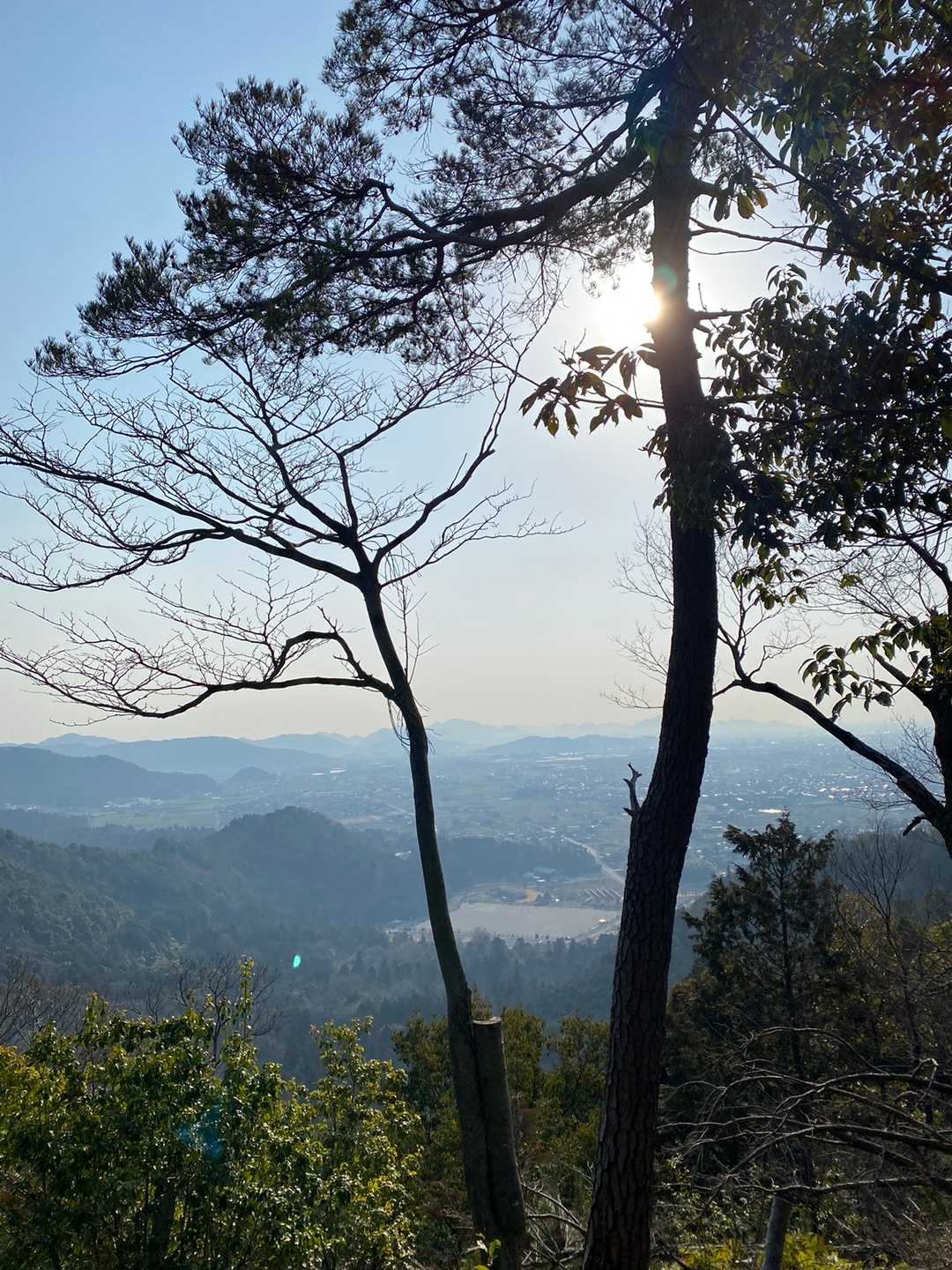 野村山-野村坂-大谷山-滝谷山-雁又山 周回コースの写真