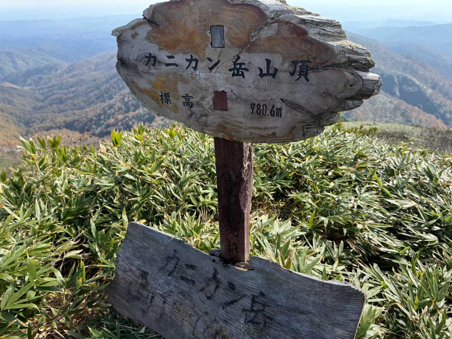着いた🙌