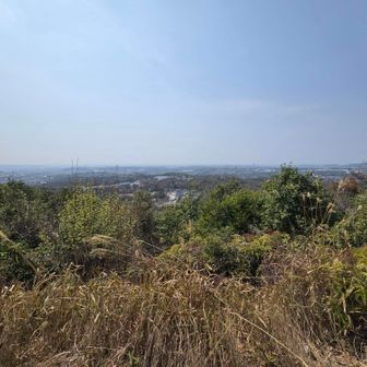 霞がなければ鈴鹿の山々が見えるそうです