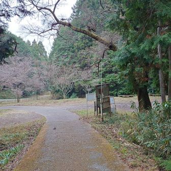 駐車場まで下りてきました。もう楽勝です😊