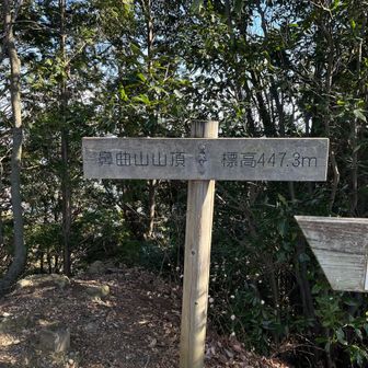 手前の岩場に山頂板あったのに、こちらが本物？