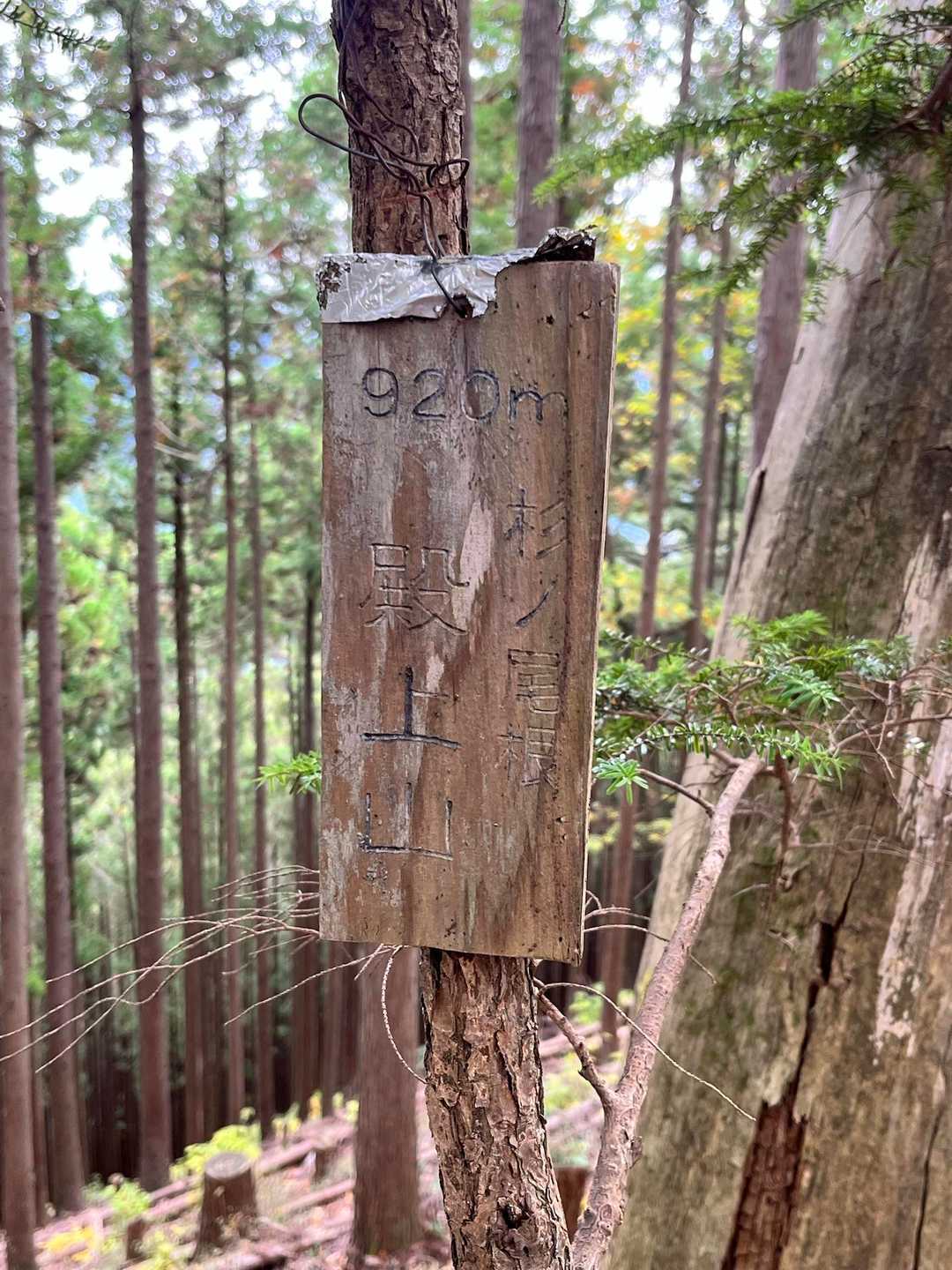 殿上山