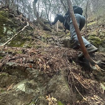 ひたすらよじ登って