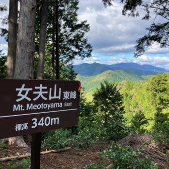 次は女夫山(東峰)山頂