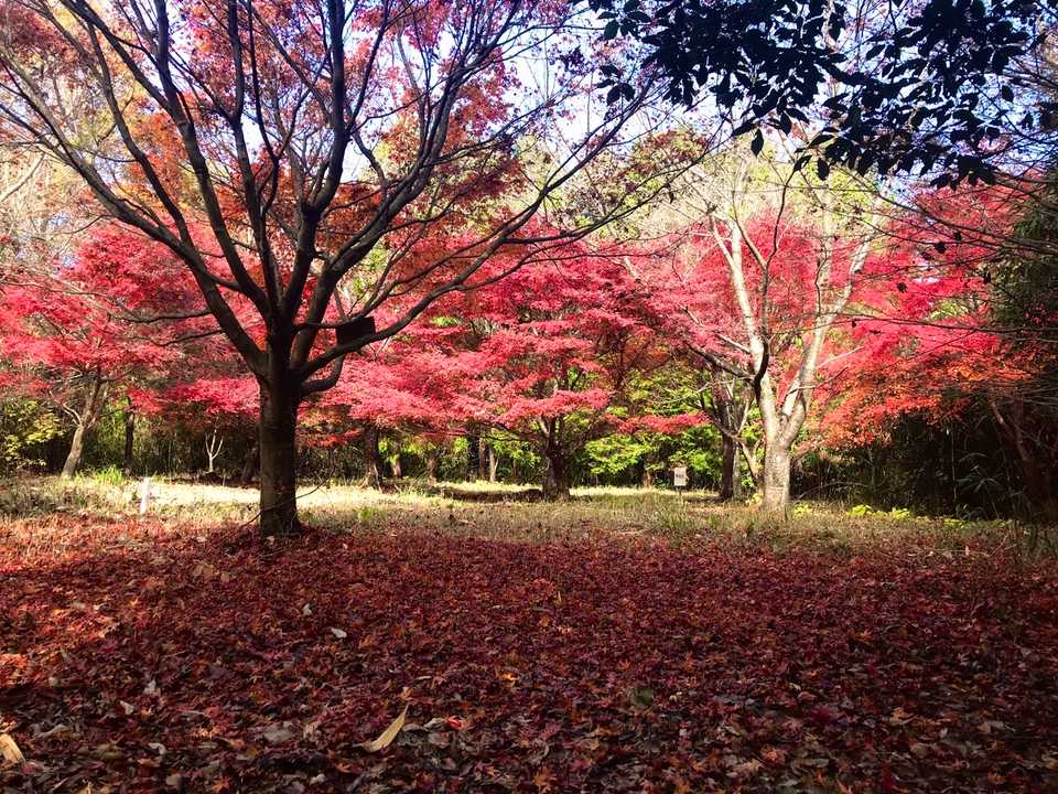登頂しました😆