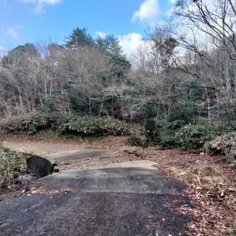 スタート/ゴール地点に無事帰ってきました👍