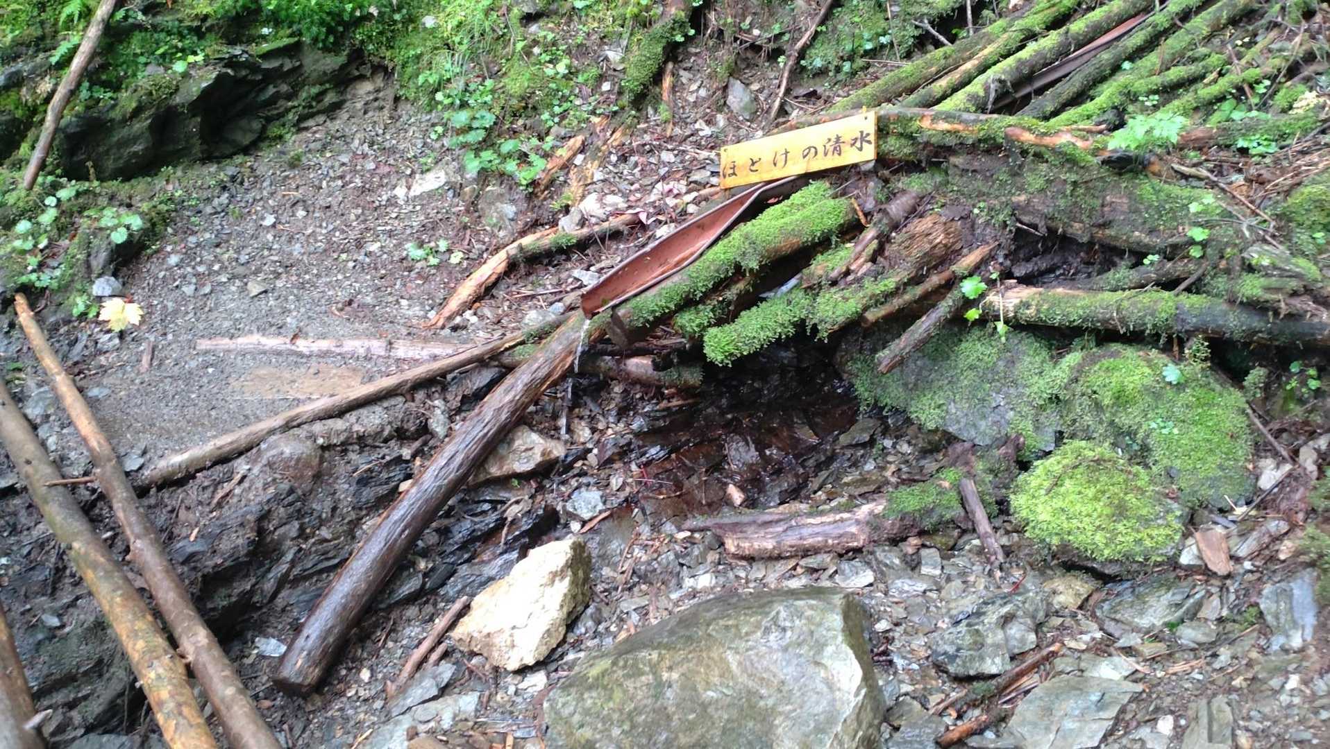 南アルプスなのに、お水が豊富でないこの山域。
貴重と言えば貴重ですね