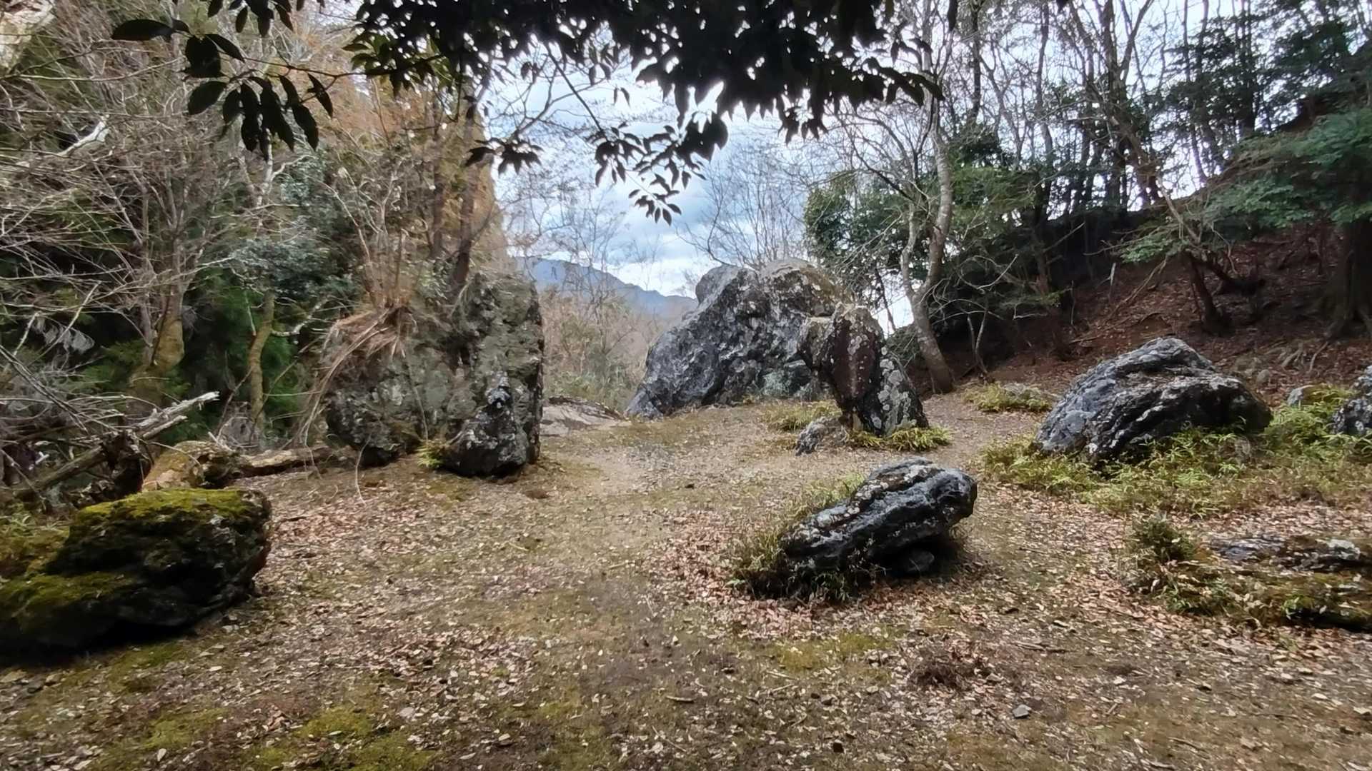 ん⁉️ 庭園跡地かな？🤔