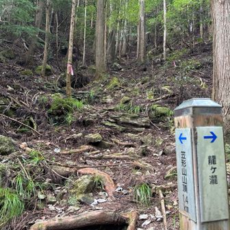 笠形山山頂まで1.4km。