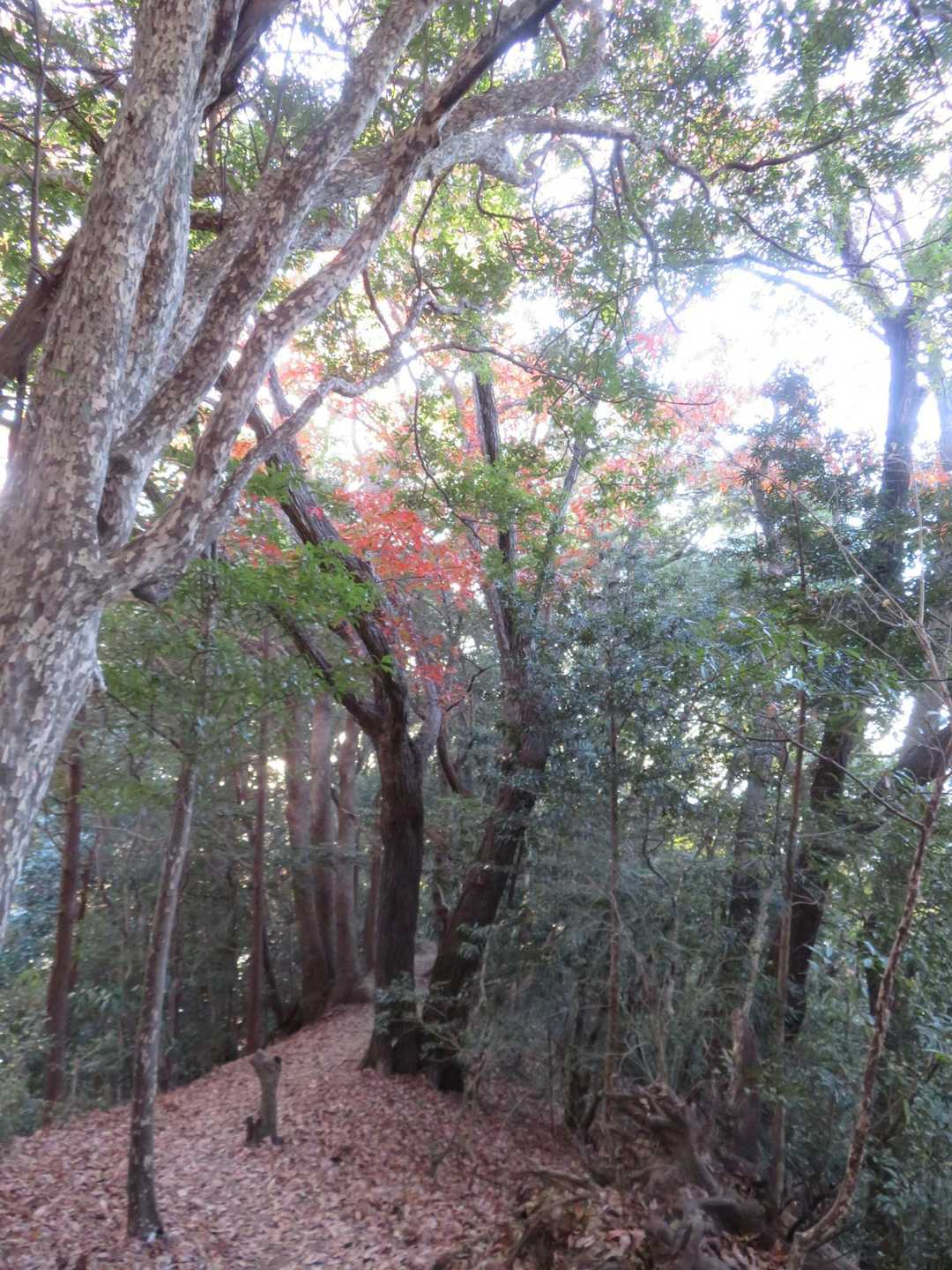 帰り道