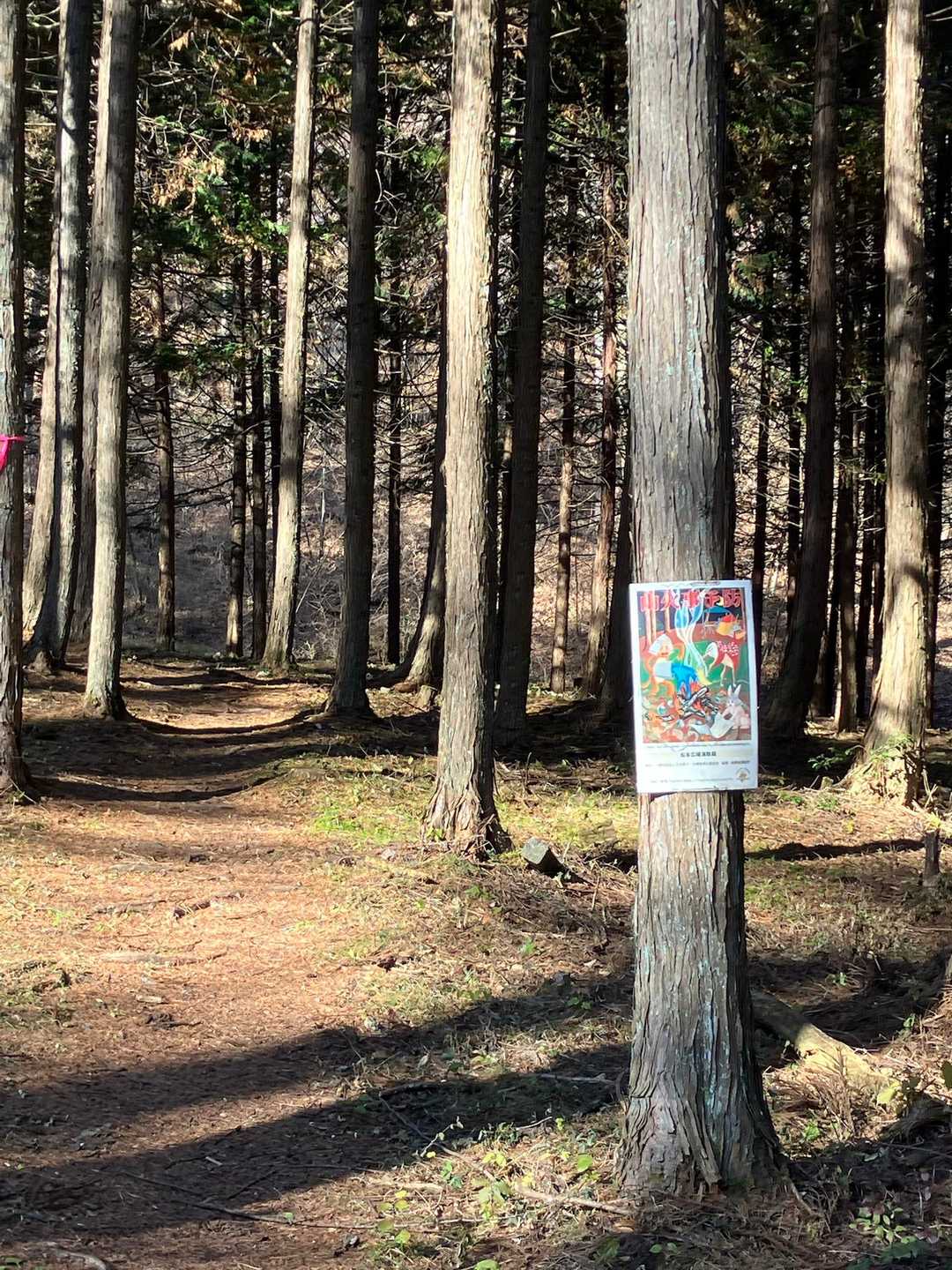 で、下山完了、おつかれ山でした