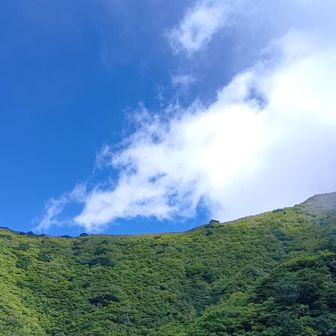 避難小屋方面は時折、大山ブルー！！