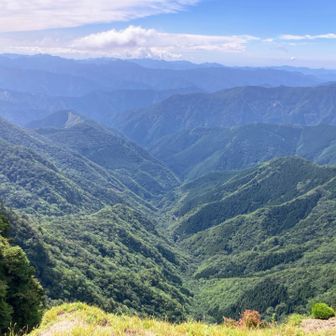 和佐又登山口が満車だったら停めようと教えてもらったのが「水太登山口」はこの谷間の先。
和佐又から周回すると、写真の右から左（または逆）への登り返しがかなりキツそうで、びびってこれまで避けていたんですが…