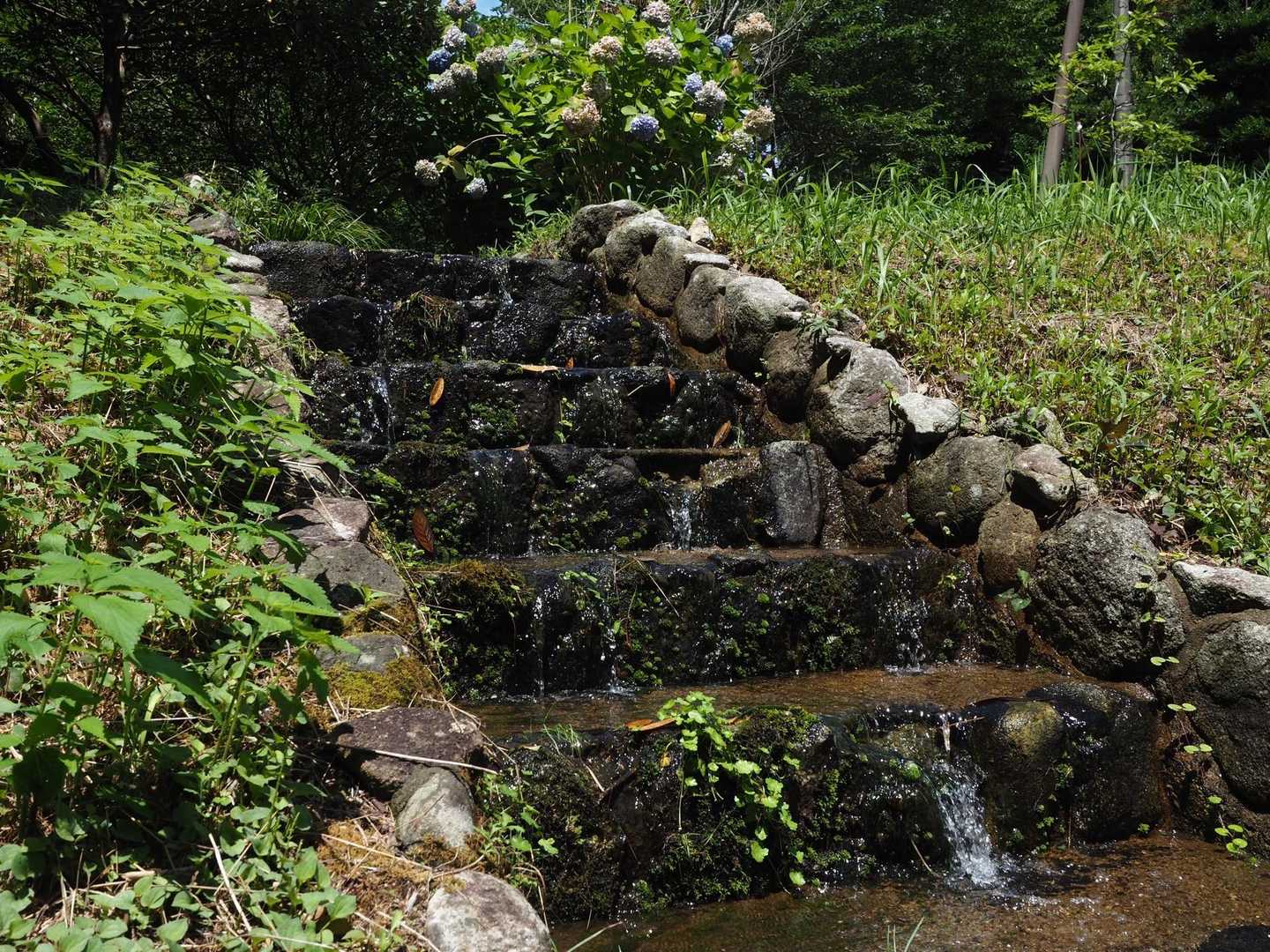 雨の後
水量多し