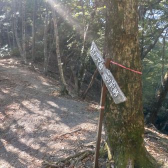 根子峠　
偉主（いぬ）の次は根子（ねこ）🐶😺