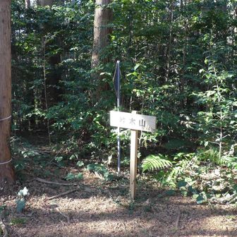 桂木山に登り返しました　桂木山から来ると、桂木観音は少し下ります