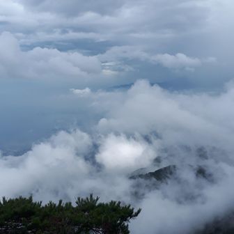 ちらりと海岸が見えたり