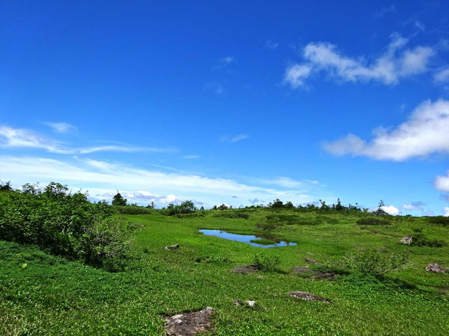 市ノ瀬バス停-猿壁登山口-猿壁登山口-別山-油坂ノ頭-別当 縦走コースの写真
