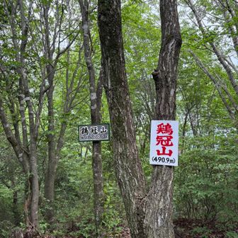 こちらから登る方は少なかった💧