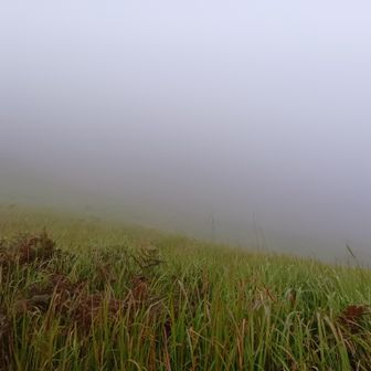 下山途中、かすかに遡源の雰囲気を感じがうかがわれます。