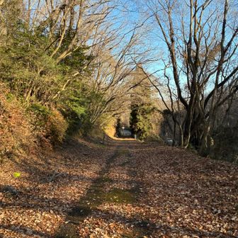 二ッ塚峠に着きました
直ぐ近くを秋川街道が通ってます